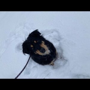 Meet your Posher, Julie